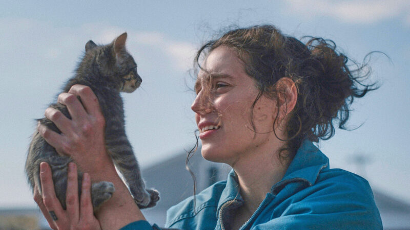 Best cat? Funniest prop? Ahead of the Oscars,  the AP hands out its own awards